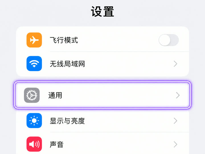 iPhone 设置列表中高亮通用选项