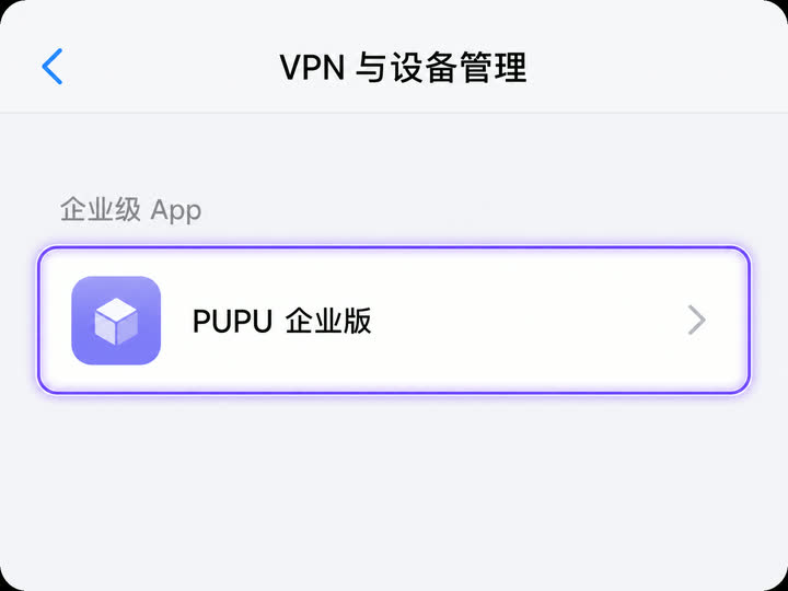 VPN 与设备管理页面中高亮 PUPU 企业级 App 条目